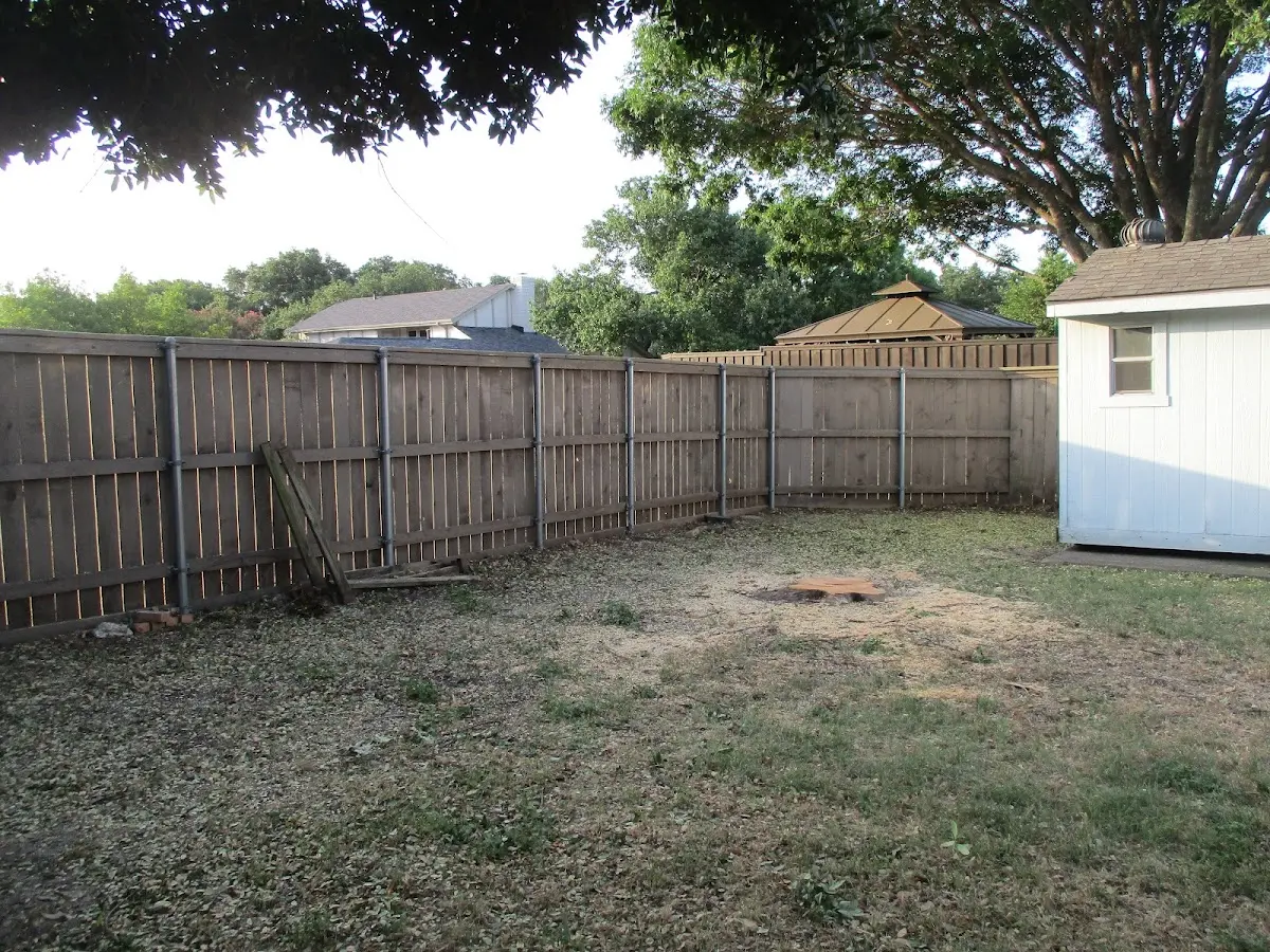 Cleared yard after professional tree removal in South Houston