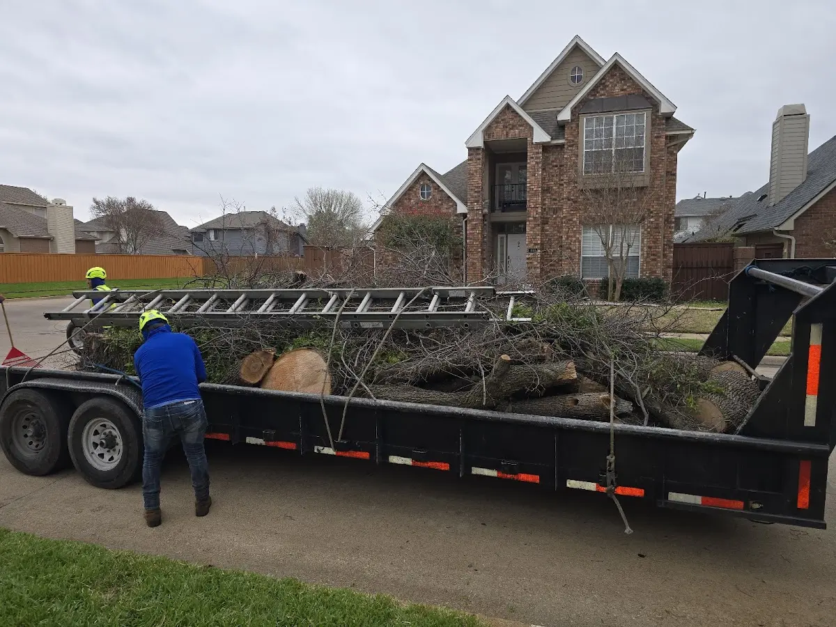 Expert Tree Fertilization with proper safety equipment in South Houston